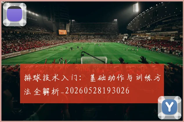 排球技术入门:基础动作与训练方法全解析_20260528193026