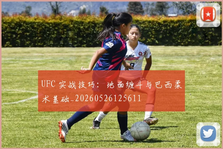 UFC 实战技巧:地面缠斗与巴西柔术基础_20260526125611