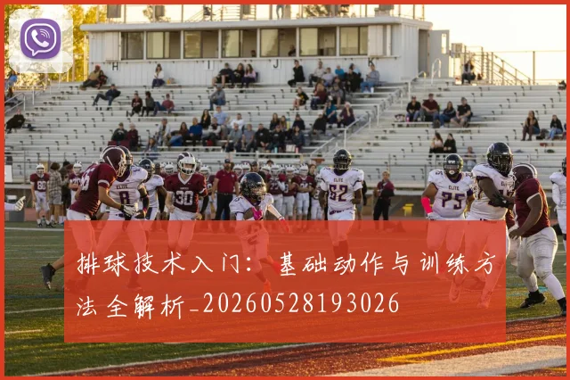 排球技术入门:基础动作与训练方法全解析_20260528193026