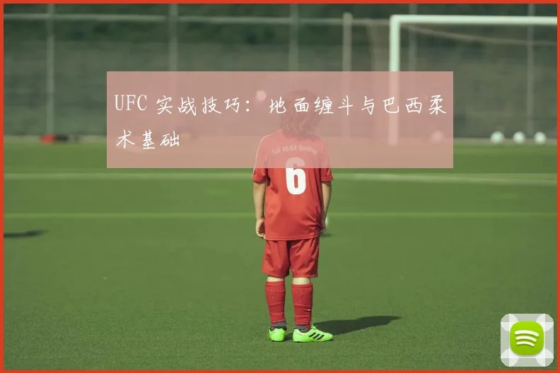 UFC 实战技巧:地面缠斗与巴西柔术基础
