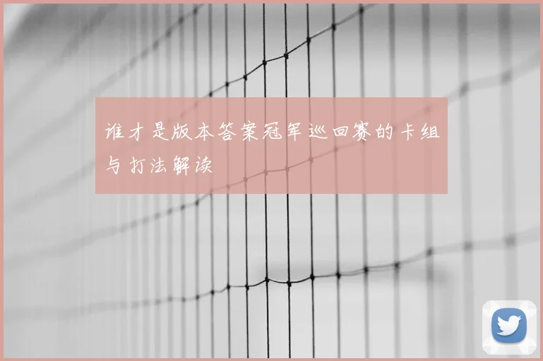 谁才是版本答案冠军巡回赛的卡组与打法解读