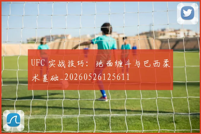 UFC 实战技巧:地面缠斗与巴西柔术基础_20260526125611